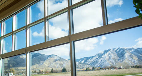 WINDOW CLEANING - Squeegee SLC $5/pane window cleaning
